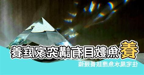 魚數目 風水